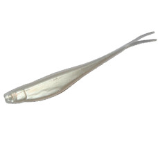 Плаваючий силікон ZMAN Streakz 3.75" 6pc #Pearl