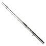Спінінг Daiwa BG Boat 2.10m 150-400g
