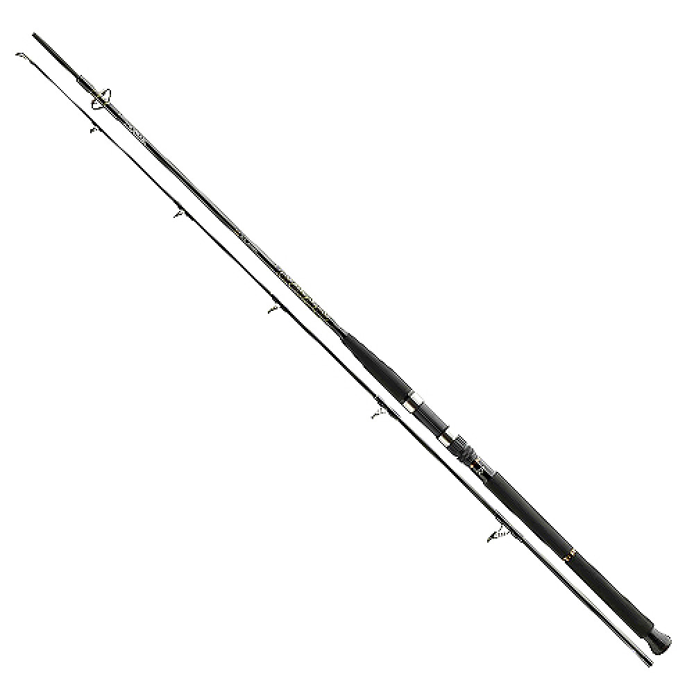 Спінінг Daiwa BG Boat 2.40m 150-400g