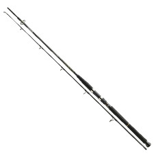 Спінінг Daiwa BG Boat 2.40m 150-400g