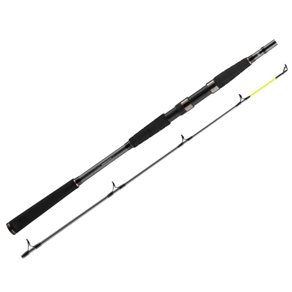 Спінінг Daiwa Seahunter X 2.70m 100-200g