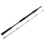 Спінінг Daiwa Seahunter X 2.70m 100-200g