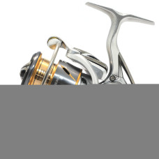 Котушка Daiwa 21 Freams LT 2500