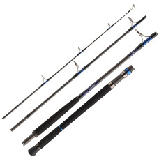 Спінінг Daiwa Saltiga AP 2.55m 50-160g