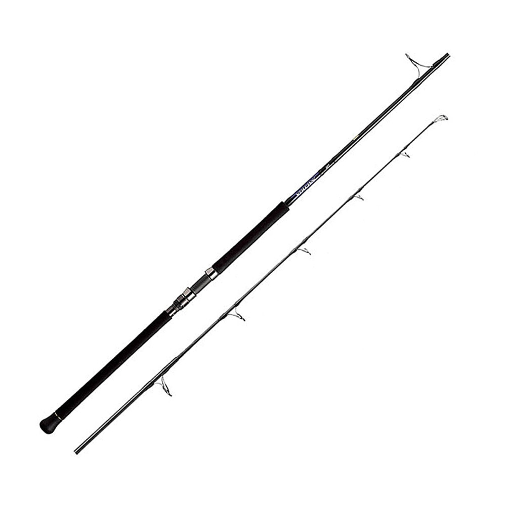 Спінінг Daiwa Saltiga AP 2.55m 50-160g