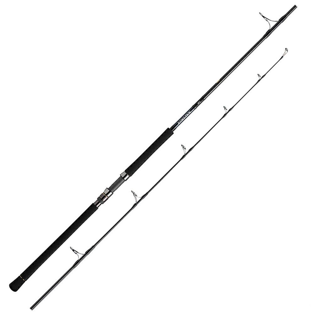 Спінінг Daiwa Saltiga AP 2.55m 50-160g