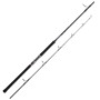 Спінінг Daiwa Saltiga AP 2.55m 50-160g