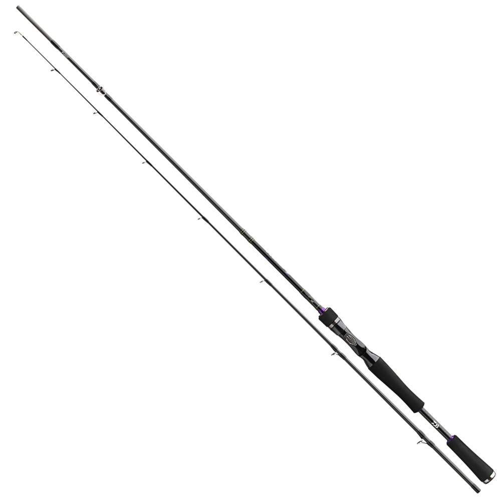 Спінінг кастинг. Daiwa Prorex XR BC 2.40m 40-120g